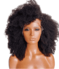 4c Afro Kinky Curly 13x4 HD Lace Frontal Wigs | 100% Virgin Remy Human Hair