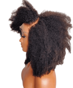 4c Afro Kinky Curly 13x4 HD Lace Frontal Wigs | 100% Virgin Remy Human Hair