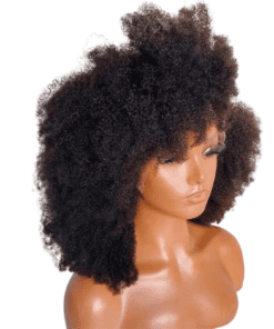 4c Afro Kinky Curly 13x4 HD Lace Frontal Wigs | 100% Virgin Remy Human Hair