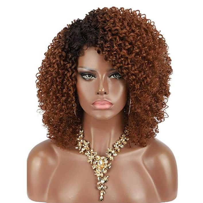 Short Curly Afro Kinky Curl Wig with Side Part for Black Women