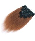 Clip-Ins - Ombre Yaki Straight 1B/27