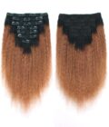 Ombre Kinky Straight Hair