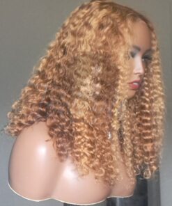 Glueless Curly Ombre Highlight HD Lace Human Hair Curly Wig