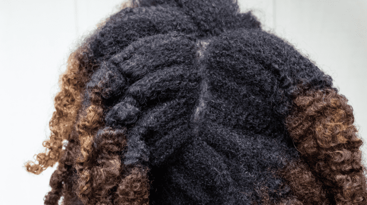 Optimizing Your Haircare Routine: A Comprehensive Guide to Hair Porosity and Healthy Hair