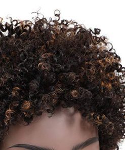 Curly Pixie Human Wig with Brown Highlights | Full Cap Ready-to-Wear