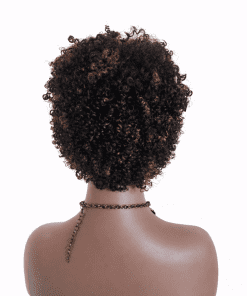 Curly Pixie Human Wig with Brown Highlights | Full Cap Ready-to-Wear